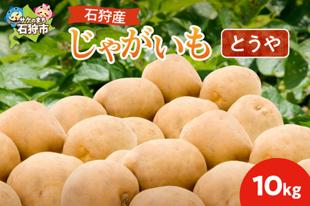 石狩産 じゃがいも(とうや) 10kg【9月発送】