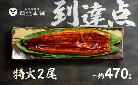 国産うなぎ蒲焼 特大2尾 うなぎ