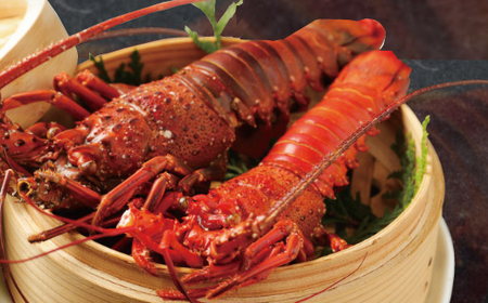 お刺身に！！ 室戸産 活冷伊勢海老 1kg（2尾～5尾程度）