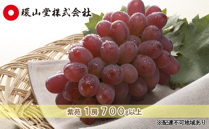 
                  [№5615-0986]ぶどう 2026年 先行予約 冬 紫苑 1房 700g以上 ブドウ 葡萄  岡山県産 国産 フルーツ 果物 ギフト 環山堂
                