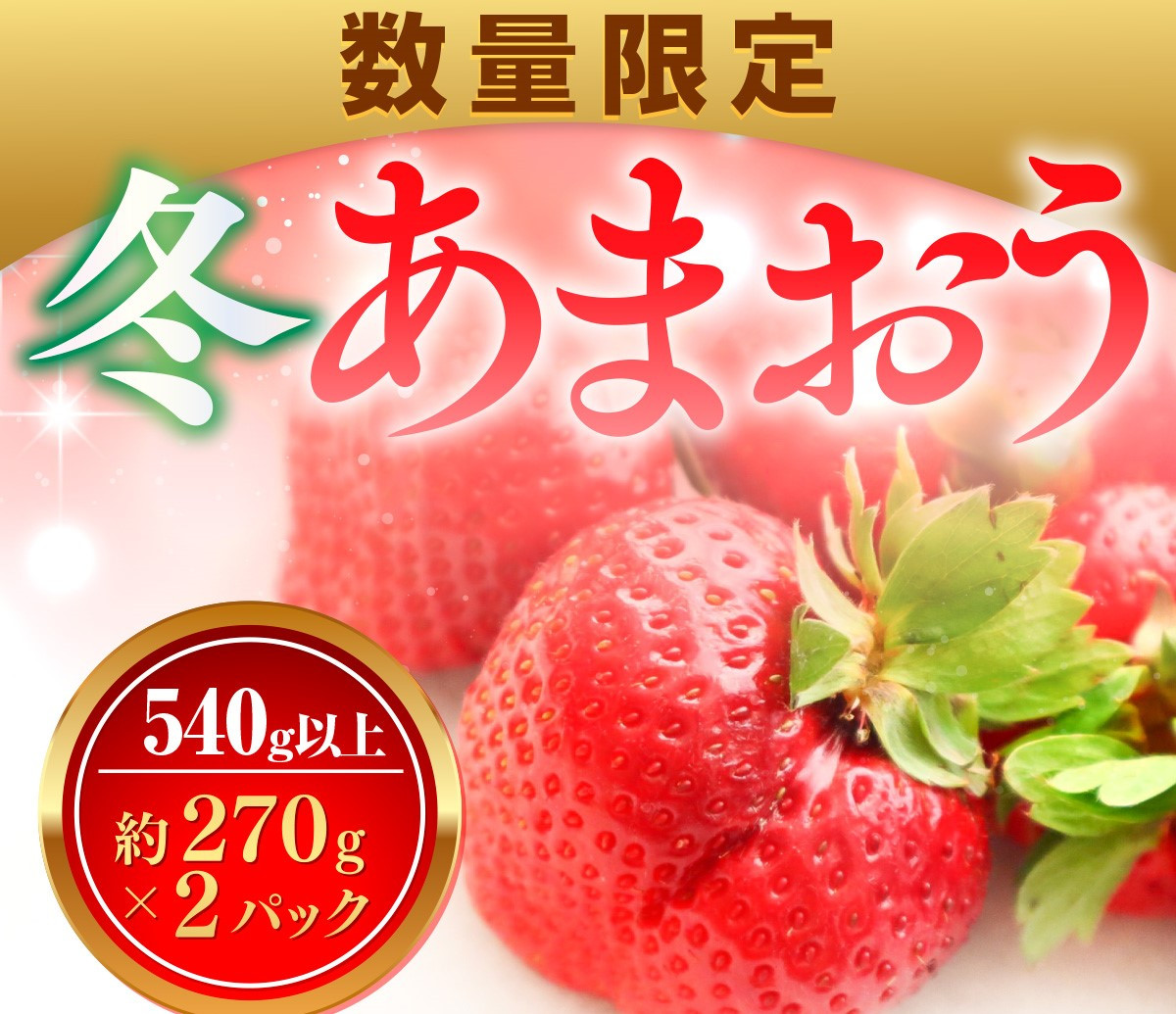 
            数量限定 冬あまおう２パック 540ｇ以上（270g以上×2）農家直送 アフター保証 イチゴ 苺 いちご 福岡 博多あまおう フルーツ VZ003  2024年12月以降順次発送 
          