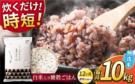 〈令和7年度産米〉 【全12回定期便】 水研ぎ不要 雑穀ごはん 無洗米 10kg 【株式会社 農産ベストパートナー】 令和7年産 [ZBP152]