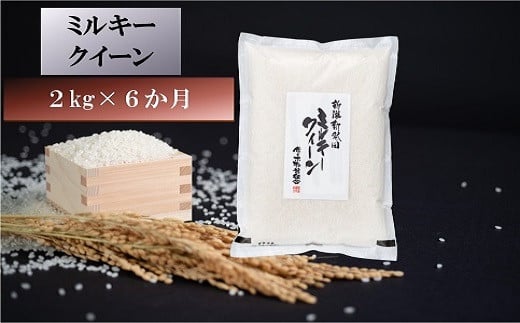 【定期便】 令和5年産 ミルキークイーン 2kg×6か月　【 新潟県 新潟産 新発田産 米 ミルキークイーン 佐々木耕起組合 2kg 6ヵ月 12kg 定期便 D42 】