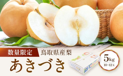 
                  数量限定 鳥取県産梨 あきづき 5kg（10～12玉） 国産 あきづき 梨 国産あきづき 国産梨 梨先行予約 梨5kg あきづき5kg 鳥取県産あきづき 鳥取県産梨 新鮮 旬 フルーツ 果物 くだもの 人気 おすすめ 鳥取 琴浦町 送料無料
                