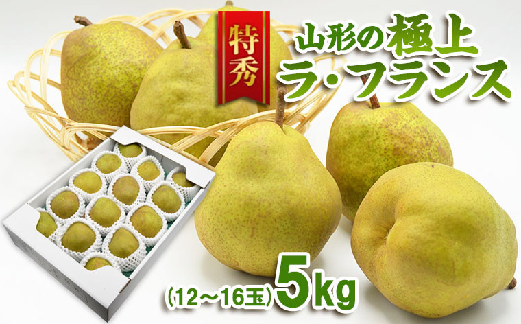 
【特秀】山形の極上 ラフランス 特秀品 約5kg(12～16玉) FZ23-319
