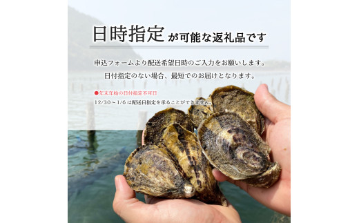 先行予約 あまべ牡蠣 55個 牡蠣 シングルシード 生食用 殻付き かき カキ オイスター 生ガキ 生牡蠣 生がき 生かき ギフト 貝 旨味 【2026年12月以降にお届け】