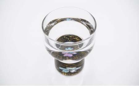 【高岡漆器】杯 金桜（貝入）黒 民芸品 工芸品 伝統技術  FAD-0710