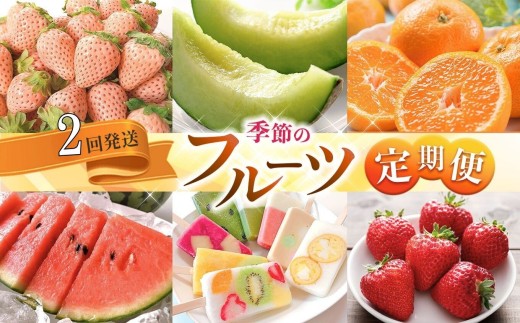 【定期便】 熊本人気フルーツ [旬な季節に合計2回発送] | フルーツ 果物 くだもの 旬 人気 定期 定期便 熊本県 玉名市