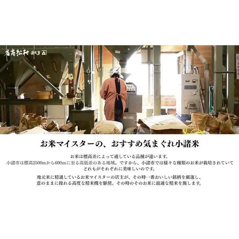 お米マイスターおすすめ小諸米 精米5kg 3ヶ月定期便