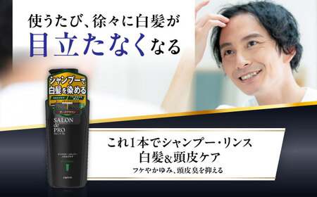ダリヤ サロンドプロ メンズカラーシャンプー スカルプケア 3個セット【ダークブラウン】カラーシャンプー / 稲沢市 / 日興商事株式会社 [BMBK008-01]