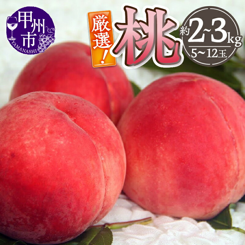 【ふるさと納税】 桃 選べる内容量 約2~3kg 5～12玉 果物 フルーツ もも 朝採れ 厳選 甲州市産 2025年発送 産地直送 7月 8月 発送 期間限定 数量限定 果実 ギフト 贈答 家庭用 山梨（THR）