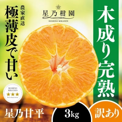 
            ＜訳あり＞星乃みかん園の甘平(3kg)＜C45-88＞【1535971】
          