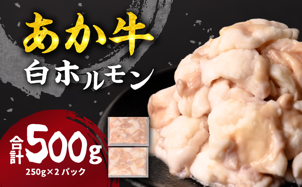 あか牛 白ホルモン 500g 250g×2パック_イメージ1
