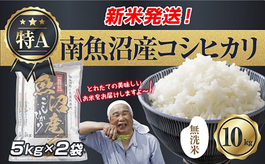 
                  【令和8年産　新米予約】「無洗米」 新潟県 南魚沼産 コシヒカリ お米 5kg×2袋 計10kg 精米済み（お米の美味しい炊き方ガイド付き） お米 こめ 白米 こしひかり 食品 人気 おすすめ 送料無料 魚沼 南魚沼 南魚沼市 新潟県産 新潟県 精米 産直 産地直送 お取り寄せ【2026年10月中旬より1ヶ月以内に順次発送予定】
                