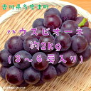 【ふるさと納税】ハウスピオーネ　約2kg【令和7年7月下旬発送！予約受付中】〔提供：株式会社ことひら街道〕しあわせ製麺 種無し 濃厚な甘み 大粒