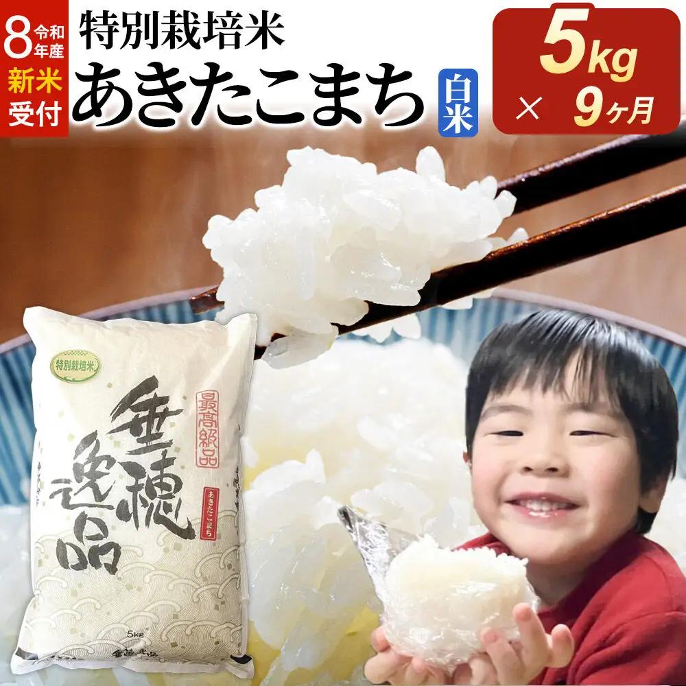 ＜令和8年産 新米受付＞《定期便9ヶ月》米 特別栽培米 あきたこまち【白米】5kg×1袋