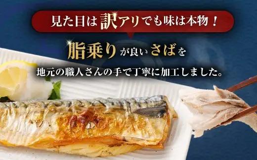 トロ塩サバフィーレ 約1.5kg 約500g×3袋 （A品、B品混合） 鯖 鯖フィレ 訳 さば サバ 冷凍 AS-383