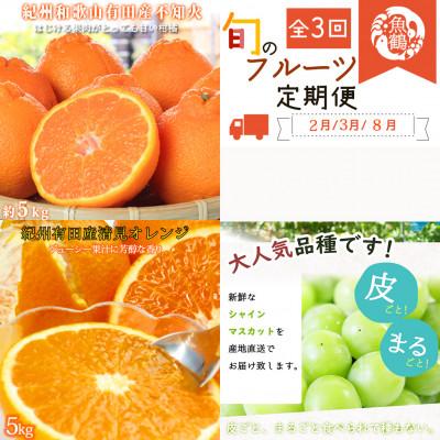 ふるさと納税 有田川町 【発送月固定定期便】紀州和歌山産旬の果物セット(不知火・清見・シャイン)全3回