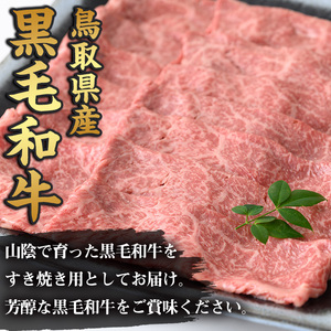 鳥取黒毛和牛ももすき焼き用(500g)国産 牛肉 黒毛和牛 ビーフ 赤身 もも モモ もも肉 すき焼き ギフト 冷凍【sm-AP003】【いろは精肉本店】