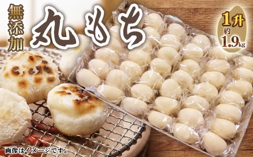 丸もち1升 ／ モチ 餅 おもち 丸餅 国産 佐賀県産 ヒヨクモチ 無添加 個包装 愛知県 No.515