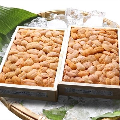 ふるさと納税 根室市 エゾバフンウニバラ140〜150g×2折[11月中旬発送] F-71012