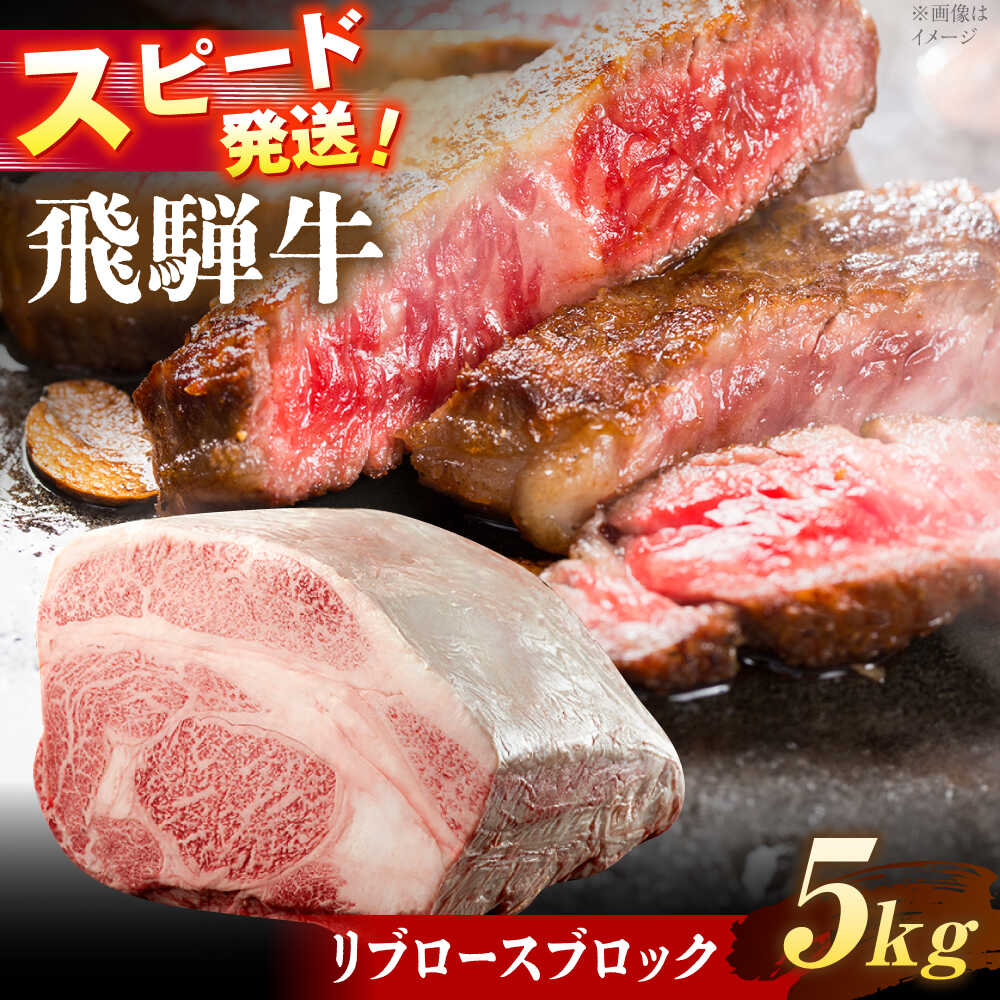 【ふるさと納税】飛騨牛 リブロース ブロック 5kg 瑞浪市 / 養老ミート 冷凍 和牛 ギフト[AZDB015]