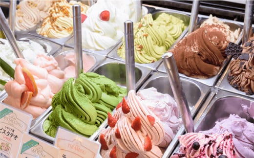 ジェラテリアGigiのイタリアンジェラート6種12個入アソートカップサイズ