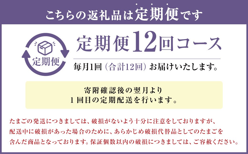 【定期便12回】球磨球子 60個入×12回 合計720個 鶏卵 卵 玉子 たまご くまたまご