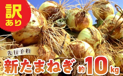 
                  S010-077_令和9年4月出荷 訳あり新たまねぎ【先行受付】
                