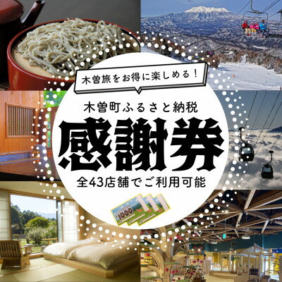 【ふるさと納税】木曽町ふるさと納税感謝券(9,000円分)【1663576】