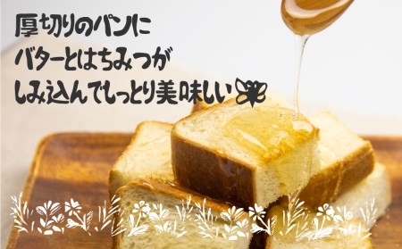 キハダ蜂蜜 300g (チューブ入り) 蜂蜜 [Q1203wx]