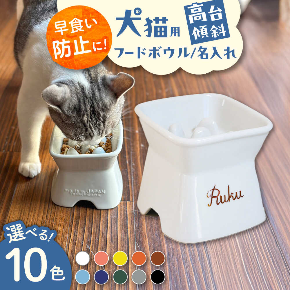 【ふるさと納税】【美濃焼】 名入れ / 色が選べる 陶器製ペット用フードボウル 名入れ 早食い防止 ゴールド 高台傾斜 pet167 瑞浪市 / ながしまプランニングオフィス エサ入れ 餌皿 犬 猫[AZBM191]