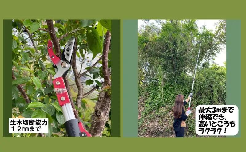 大進 収納に便利な伸縮式高枝切鋏3段 DG-002R4 高枝切りバサミ 4939736702994