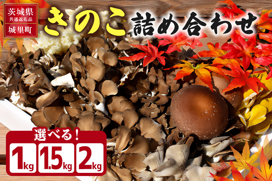 
            きのこの詰め合わせ  選べる S M L サイズ 1kg 1.5kg 2kg 茨城県共通返礼品 城里町産 舞茸 椎茸 あわび茸 たもぎ茸 はなびら茸 完全室内栽培 栽培期間中農薬不使用 安心 安全 栄養豊富 こだわりのキノコ詰め合わせ 直送 新鮮 旬 おすすめ セット 贈り物
          