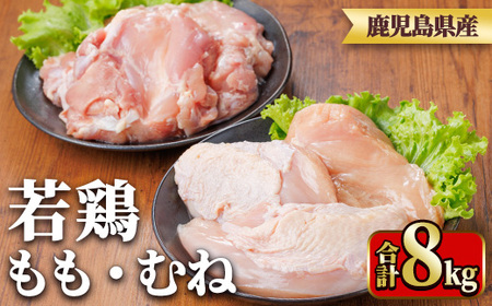 鹿児島県産若鶏もも身・むね身セット(合計8kg・もも、むね) 国産 九州産 鹿児島県産 鶏肉 鳥肉 鶏 とり 若鶏 冷凍 もも むね セット 真空 【TRINITY】_y542