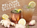 【ふるさと納税】Ashikita Spices Ginger（アシキタ スパイス ジンジャー）