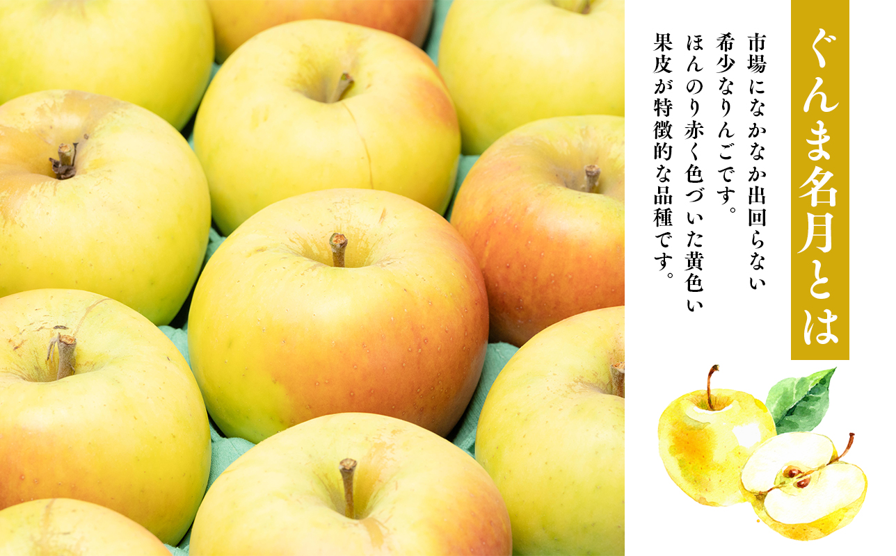 年明け発送 【訳あり】家庭用ぐんま名月約３ｋｇ（糖度証明書付き） 【那由多のりんご園　平川市産】