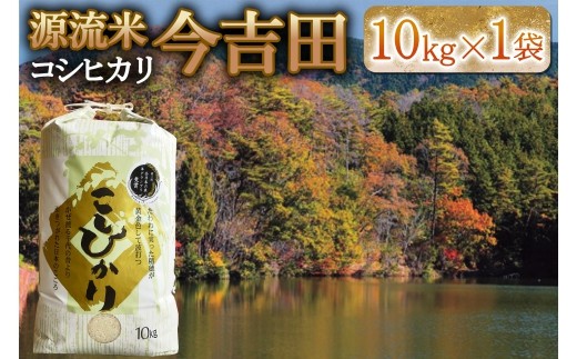 精米 コシヒカリ 10kg 「源流米 今吉田」 2025年産 米どころ北広島町のおいしいお米_KI108_002
