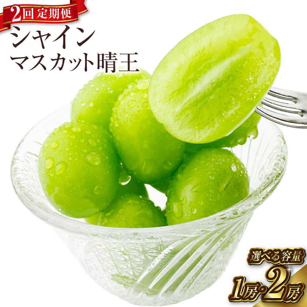 【ふるさと納税】【2ヶ月定期便】シャインマスカット 晴王 1房（約600g）2房（合計約1kg）計約1.2kg～約2kg ＜選べる容量＞ぶどう 2026年 先行予約 ブドウ マスカット 岡山県産 ギフト 産地直送【2026年9月上旬より順次発送予定】