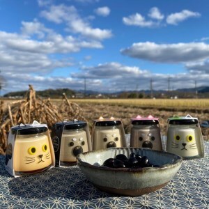 【新物 令和7年産 令和7年12月中旬以降発送 】川北黒大豆　Lサイズ粒　BT12 黒豆 丹波黒 おせち用 煮豆 グルメ 高級 ブランド