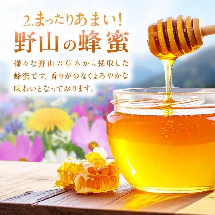【はちみつお試しセット】 早春みつ・野山みつ 各1本（280g×2） / はちみつセット スピード発送[AFAI043]
