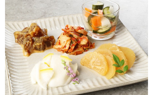 はじめよう菌活！身体喜ぶ発酵食品5種詰め合わせセット 健康食品 キムチ 白菜 大根 きゅうり 人参 漬物 無添加 　H147-007