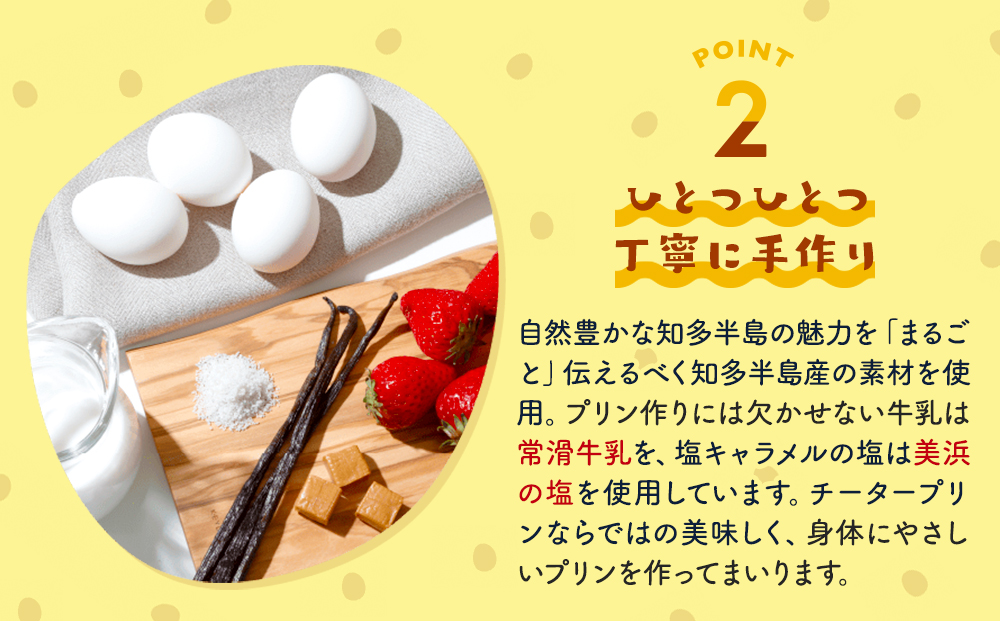 チータープリン 6 個 セット ( プレーン × 3 抹茶 塩 キャラメル フルーツ ) 冷蔵 プリン 子供向け スイーツ デザート ギフト お土産  贈答用 お歳暮 まるごと知多チータプリン 愛知県