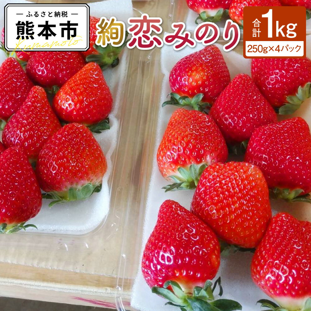 【ふるさと納税】 絢音ベリー 農園 "絢" 恋みのり いちご 約1kg （約250g×4パック）くだもの 果物 苺 イチゴ こいみのり ベリー ストロベリー おやつ 高級 フルーツ ギフト 厳選 希少 熊本 熊本県産 国産 送料無料【先行予約】【2025年12月上旬～2026年2月下旬迄発送予定】
