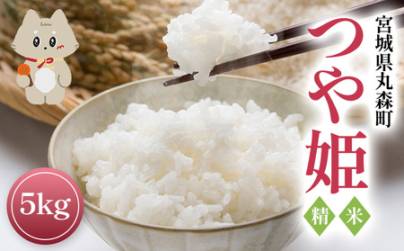 令和7年産 宮城県丸森町 つや姫 精米 ５ｋｇ【54001】