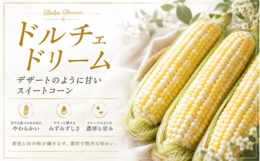 【令和9年産先行予約】野菜の定期便（大） 3回便  野菜 定期便 幻のアスパラ ラスノーブル とうもろこし 玉ねぎ 北海道 本山農場 | 野菜定期便 グリーンアスパラ アスパラ アスパラガス あすぱら