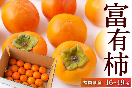 【先行予約】江藤農園 富有柿 16玉から19玉(約5kg) 2025年11月中旬から11月下旬 出荷予定