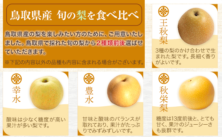 【先行予約】秀品 二十世紀梨と旬の赤梨セット 約5kg(10〜18玉)《2025年8月下旬-10月上旬頃出荷》 鳥取県 八頭町 梨 なし ナシ 果物 フルーツ ギフト 先行予約 送料無料 甘い 果実 