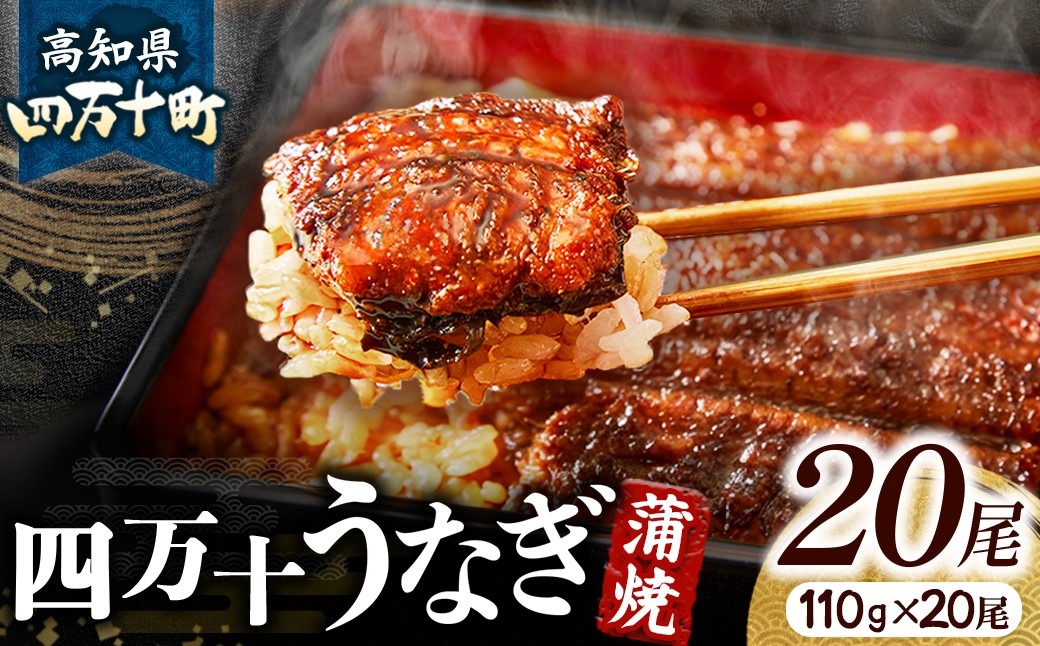 
                  四万十うなぎ 蒲焼き 20尾セット 国産 ／Esu-A118 うなぎ 鰻 蒲焼き 名店 タレ付き 山椒付き  鰻蒲焼  小分け  四万十鰻  個包装 冷凍
                