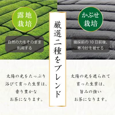ふるさと納税 日向市 プレミアムティーバッグ「露ぶせ」(3g×12個) |  | 02
